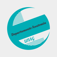 Departamento de Anatomia